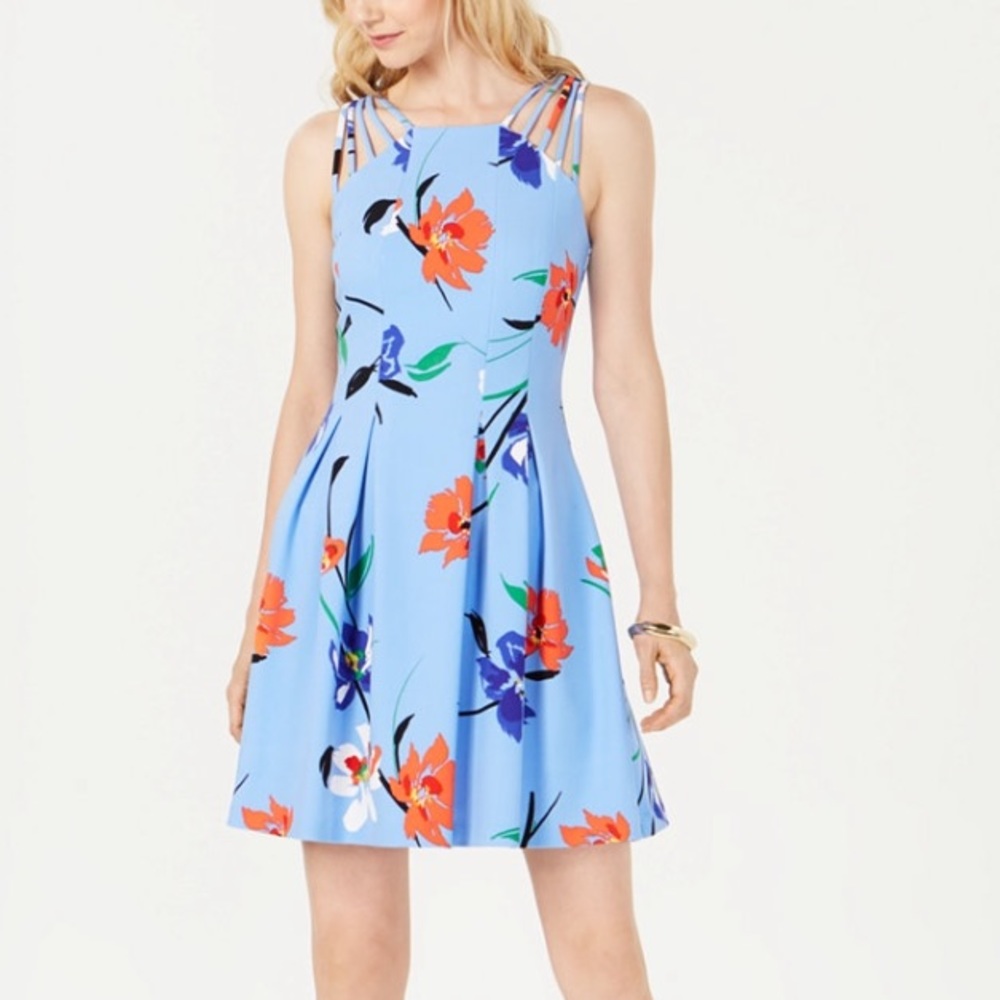 Floral Fit and Flare Women’s dress